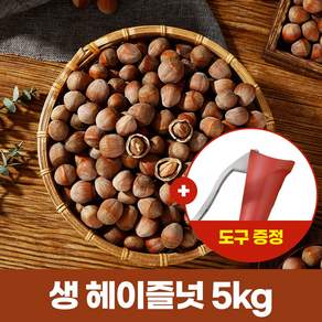2026년 햇개암 깸 깨금 쩐즈 헤이즐넛 (생) 5kg 도구증정