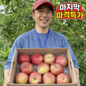 [노마진초특가] 구매1위 26년햇 국내산 부사사과