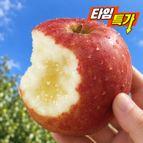 [오늘만특가] 초고당도 감홍사과 못난이 사과 초특가