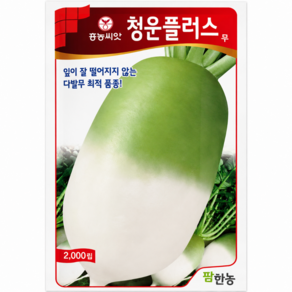 청운플러스 무 씨앗 2000립 다발 종자 청운 가을 김장 무 재배용 텃밭 주말 농장 채소 씨앗 팜한농