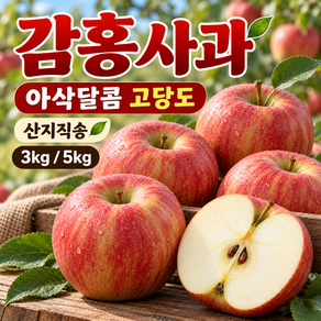 감홍사과 아삭달콤 제철햇사과 중대과3kg 5kg