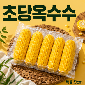 [산지초특가] 초고당도 급냉 초당 옥수수