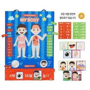 소중한나의몸배우기 신체기관 영단어 익히기 교구 box036ha