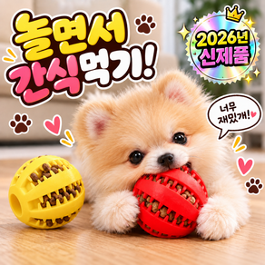 (당일배송) KDKlab 강아지 간식공 1+1+1 / KDKS198