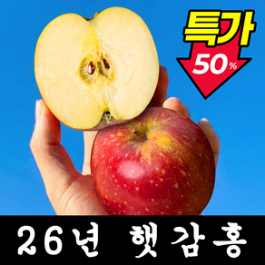 [사과축제1등농가] 감홍사과 고당도 사과
