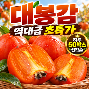 [한정수량] 선착순배송 국내산 대봉감 홍시 산지직송