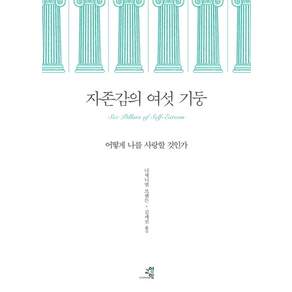 자존감의 여섯 기둥 : 어떻게 나를 사랑할 것인가