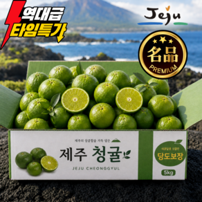 [단독특가] 초고당도 프리미엄 제주 청귤 풋귤