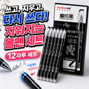 데이라이크 지워지는 볼펜 0.35mm 12개입