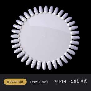 네일차트 아트판 칼라 원형 컬러차트 물결