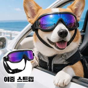 GBED 방풍 반려견 고글 고양이 강아지 선글라스 산책 외출 보호용 도글라스