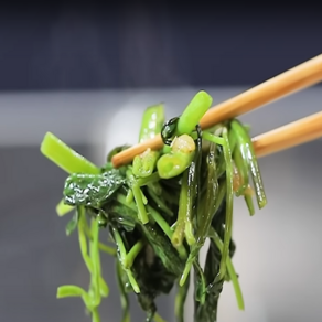 쉐프의정원 농장에서 바로 공심채 모닝글로리 500g 1kg