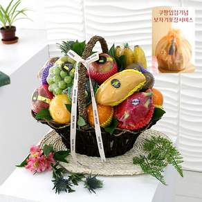 [ 과일바구니 ] 축하B 당일발송 과일선물 감사선물 축하선물 생일 승진 병문안 상견례 집들이선물 백일선물 과일세트