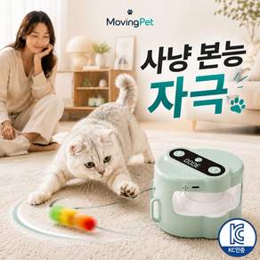 무빙펫 고양이자동장난감 고양이용품 고양이장난감 고양이키우기 C타입충전 무빙헌터