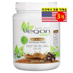 VeganSmart 비건 스마트 올인원 영양 프로틴 셰이크 초콜릿맛 690g