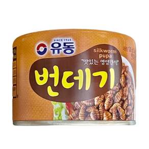 유동 번데기