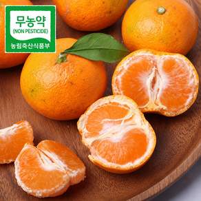 [백화점납품] 무농약 고당도 제주 노지감귤 밀감 로얄과