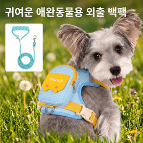 격자 배낭형 수납식 소형견 반려견 하네스 리드줄 세트 외출용 가슴줄 간편하게 휴대 가능한 귀여운 펫 백팩형