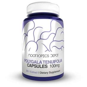 폴리갈라 테누이폴리아 캡슐 100mg 90정 20:1 추출물 원지 인지 기능과 학습 및 기억력 촉진 건강한 스트레스 수준 지원 아답토젠 보충제