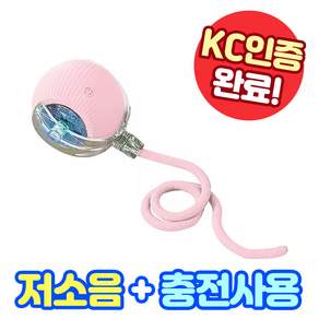 앤트앤비 스마트 롤링 라인 펫 볼 강아지 고양이 장난감