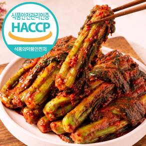 [HACCP인증]100%국내산 재료사용 전라도 갓김치