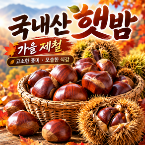 2006년 국내산 알밤 햇 밤