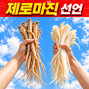 [하루딱30박스만] 국내산 최상품 선화루 생도라지