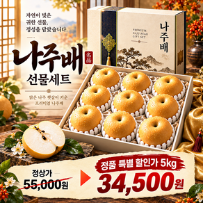 [부모님 감사선물] 한가위 명품 나주배 프리미엄 과일선물세트