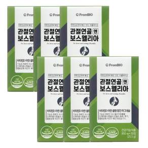 프롬바이오 관절연골 엔 보스웰리아 25.5g