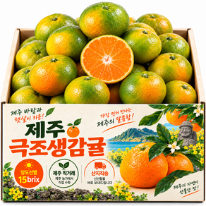 [50박스한정] 감귤 제주 극조생 당일재배 당도