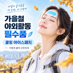 루루앤제니 KC인증 쿨링 아이스패치 쿨패치 하이드로겔 냉감패치 가족용 노인용
