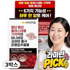 비타민마을 혈당 혈압 콜레스테롤 기억력엔 바나바잎 코큐텐 홍국 은행잎추출물 영양제 30g