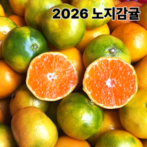 [귤담농장] 로얄과 제주 노지감귤 제주도 산지직송 귤