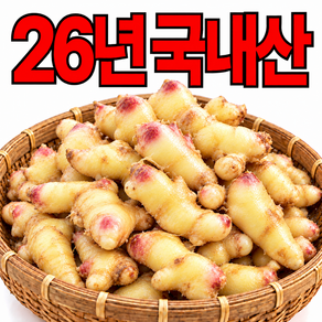 [국산 햇생강] 세척생강 당일작업 경북직송