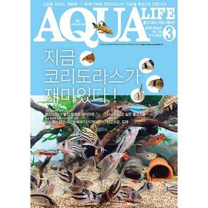 2026년 아쿠아라이프 3월호 [지금 코리도라스가 재미있다!], 단품, 단품