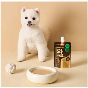 펫쿠르트 강아지 건강하개 프로젝트 왈 펫밀크, 관절+장건강, 100ml, 10개