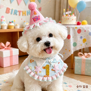 강아지 고양이 생일모자 프릴 케이프 세트 반려동물 생일파티 촬영소품