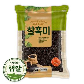 현대농산 국산 찰흑미 5kg