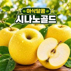 [정품보장] 산지직송 시나노골드 황금사과 아삭달콤 고당도 가정용 A급