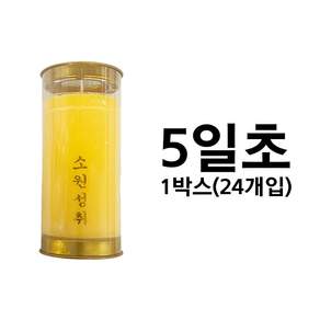 5일초 1박스 (24개입) 식물성 팜초 식물성초 기도초 소원성취초 법당초