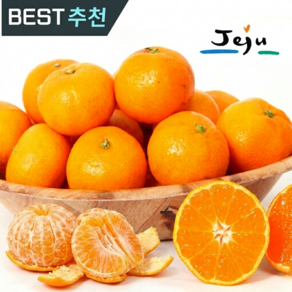 [산지직송] 달콤새콤 제주 밀감 햇감귤