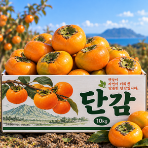[실속특가] 경남산지 가정용 아삭달큰 단감
