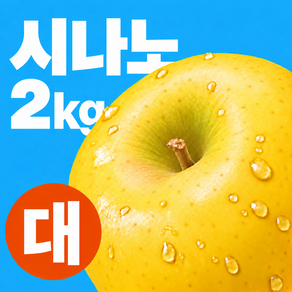 [제철과일특가] 가정용 시나노 골드 사과