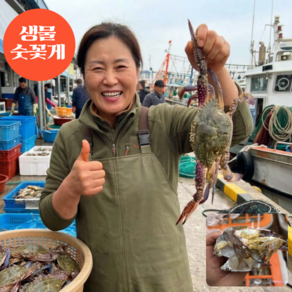 먹사부 국내산 제철 남해안 생물 활꽃게 (암수 랜덤 찜용 탕용 게장용 얼음포장)