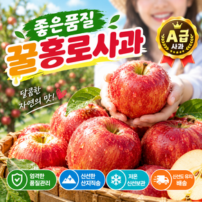 [싱글벙글] 산지직송 고당도 홍로 사과 꿀 햇