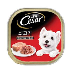 시저 생후 9개월 이상 강아지 주식캔