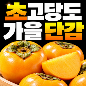 고당도 단감 구매1위 산지 가을 햇 감