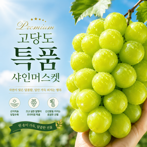 [재구매1위] 당도선별 산지직송 프리미엄 고당도 샤인머스켓
