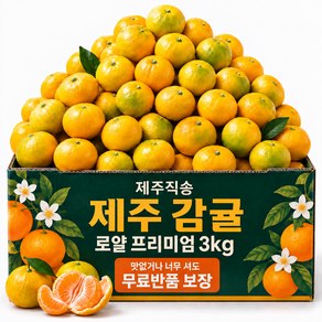 제주 감귤 고당도 귤 산지직송