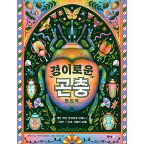 경이로운 곤충 팝업북